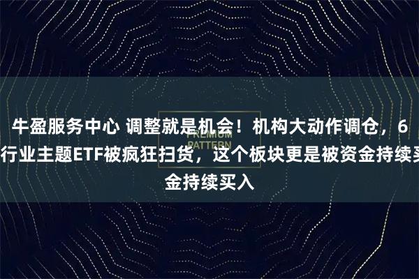 牛盈服务中心 调整就是机会！机构大动作调仓，63只行业主题ETF被疯狂扫货，这个板块更是被资金持续买入