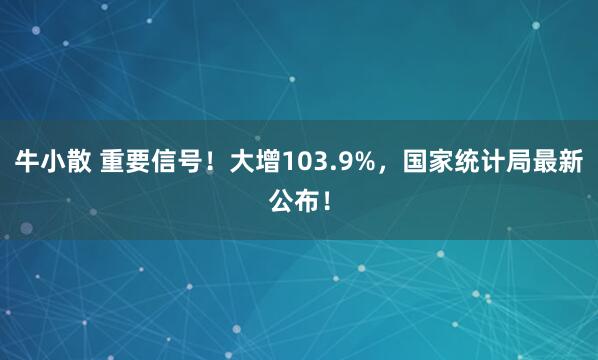 牛小散 重要信号！大增103.9%，国家统计局最新公布！