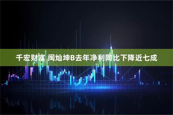 千宏财富 闽灿坤B去年净利同比下降近七成