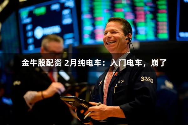 金牛股配资 2月纯电车：入门电车，崩了
