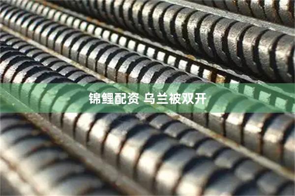 锦鲤配资 乌兰被双开