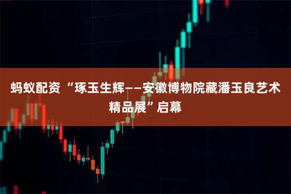 蚂蚁配资 “琢玉生辉——安徽博物院藏潘玉良艺术精品展”启幕
