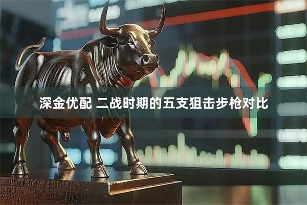 深金优配 二战时期的五支狙击步枪对比
