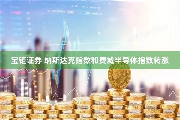 宝钜证券 纳斯达克指数和费城半导体指数转涨